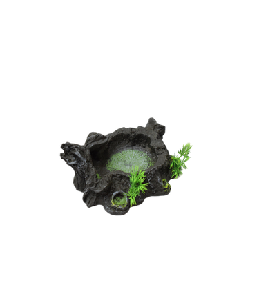 Karis Aquarium Decoration - KS-90062-1 - 16x13x8cm